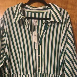 Anthropologie Maeve Green and White Striped Button-Down Dress